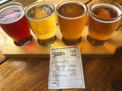 Belching Beaver Brewery North Park, photo 2