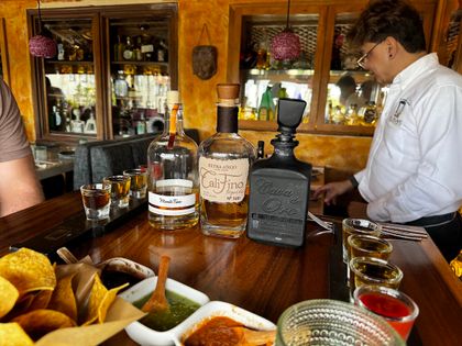 El Agave Restaurant & Tequileria, photo 4