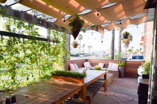 Steamy Piggy, a happy hour spot in San Diego