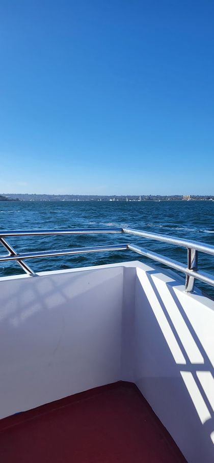 Star & Crescent Boat Co, photo 3